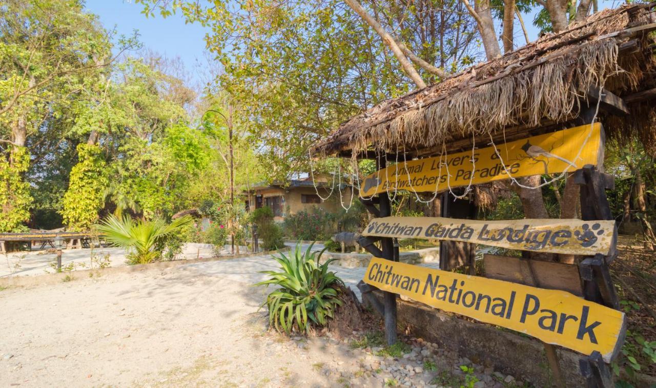 Chitwan Gaida Lodge - Animal Lovers & Birdwatchers Paradise Sauraha Exterior foto