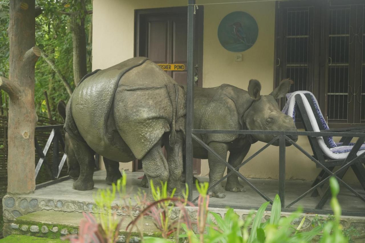 Chitwan Gaida Lodge - Animal Lovers & Birdwatchers Paradise Sauraha Exterior foto